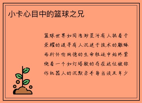 小卡心目中的篮球之兄